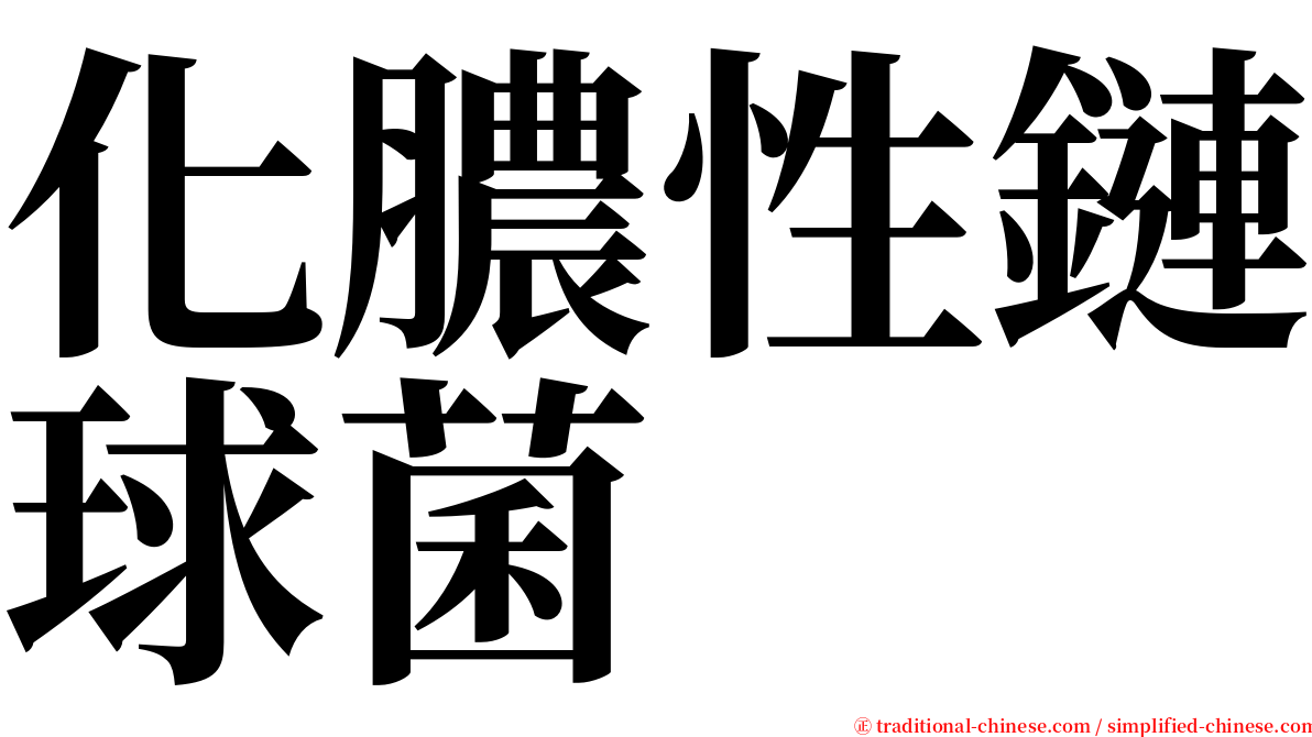 化膿性鏈球菌 serif font