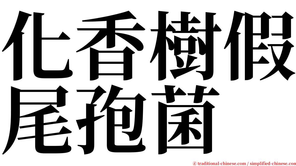 化香樹假尾孢菌 serif font