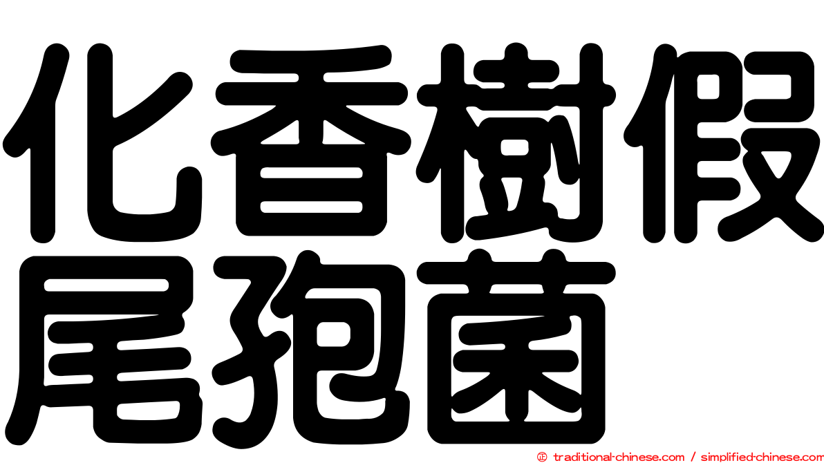 化香樹假尾孢菌