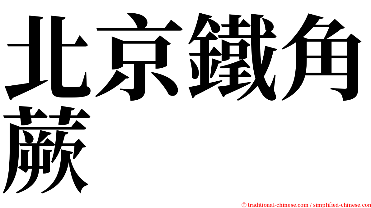 北京鐵角蕨 serif font