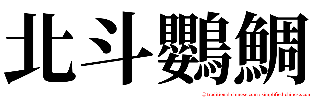 北斗鸚鯛 serif font
