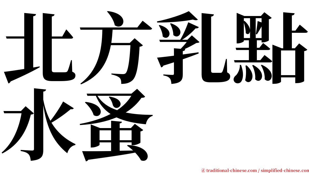 北方乳點水蚤 serif font