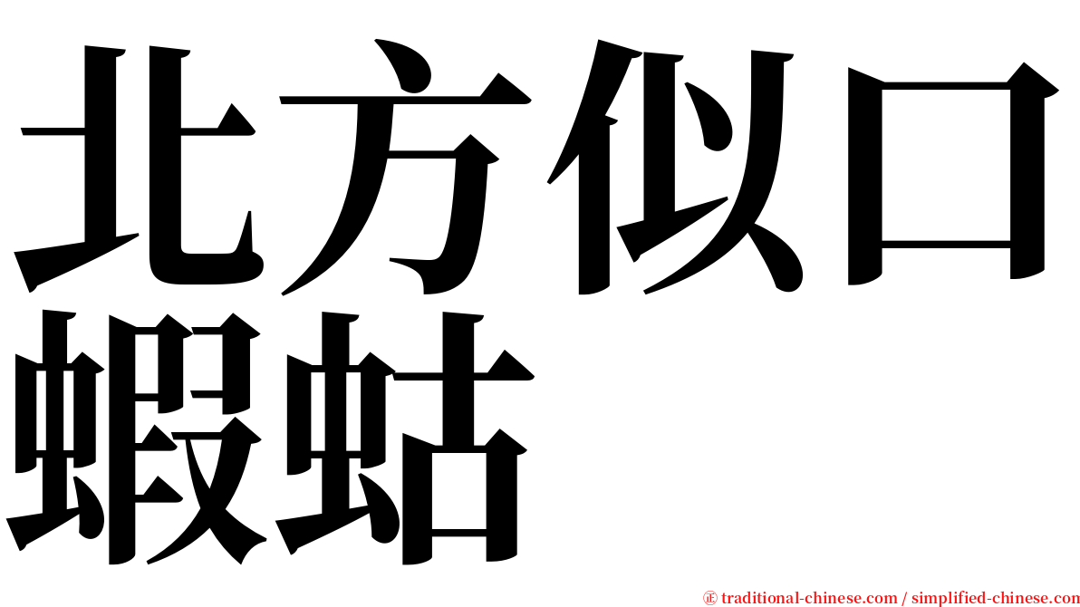 北方似口蝦蛄 serif font