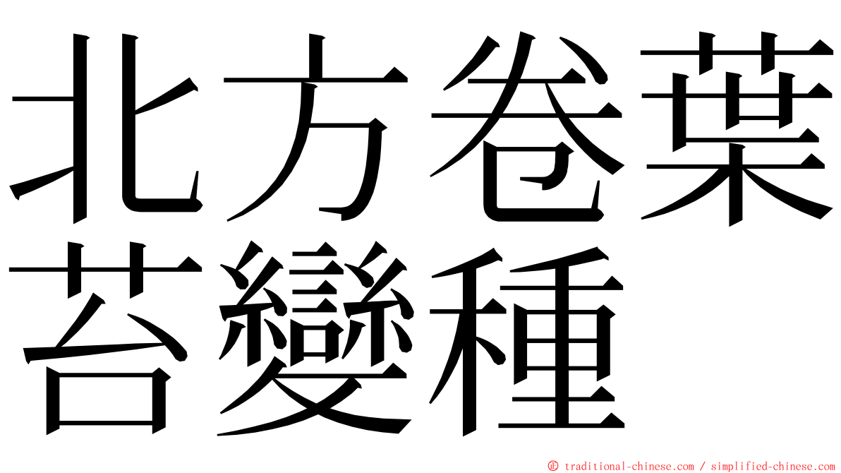 北方卷葉苔變種 ming font