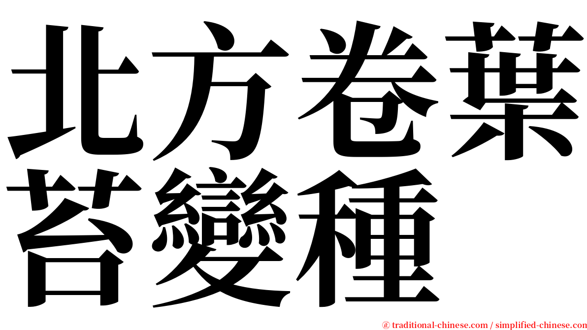 北方卷葉苔變種 serif font