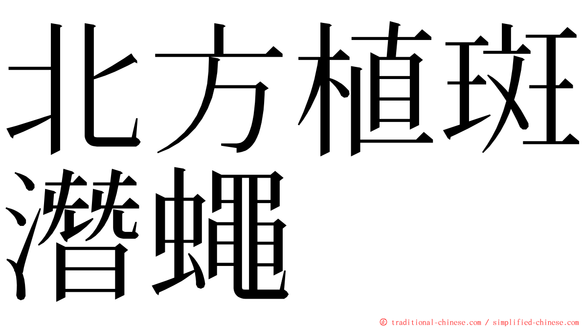 北方植斑潛蠅 ming font