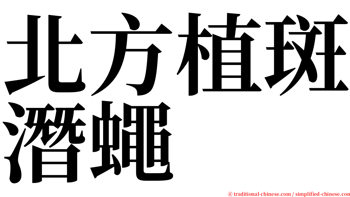 北方植斑潛蠅 serif font