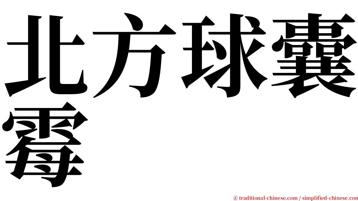 北方球囊霉 serif font