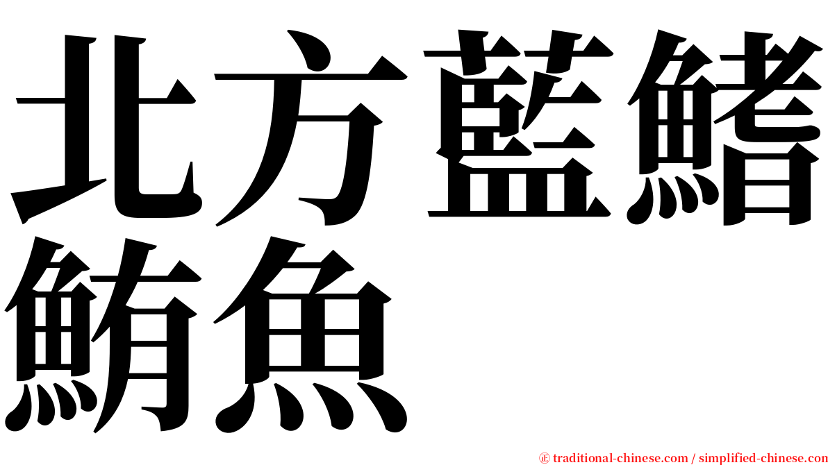 北方藍鰭鮪魚 serif font