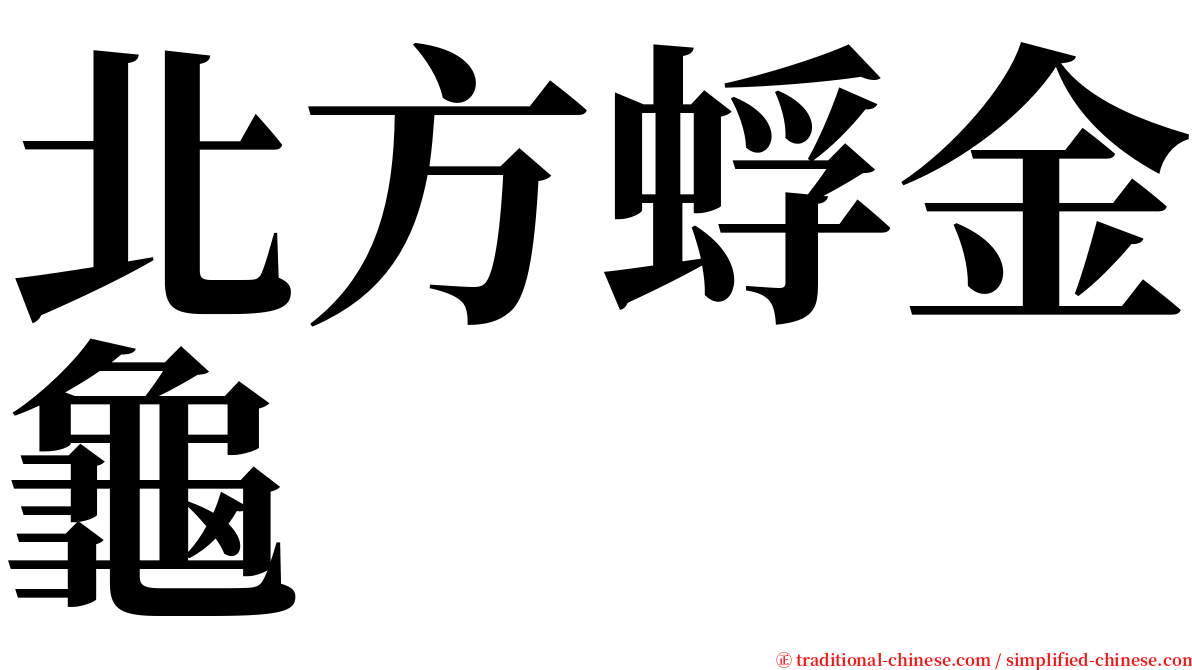 北方蜉金龜 serif font