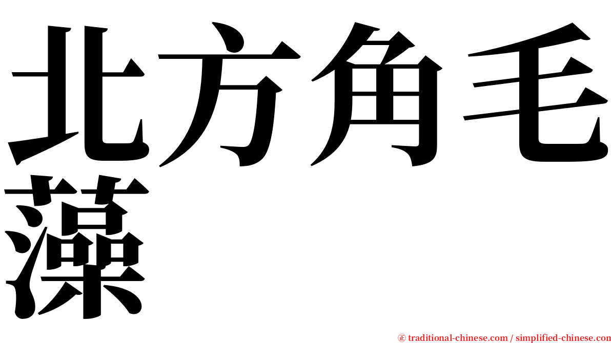 北方角毛藻 serif font