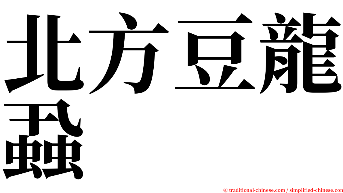 北方豆龍蝨 serif font