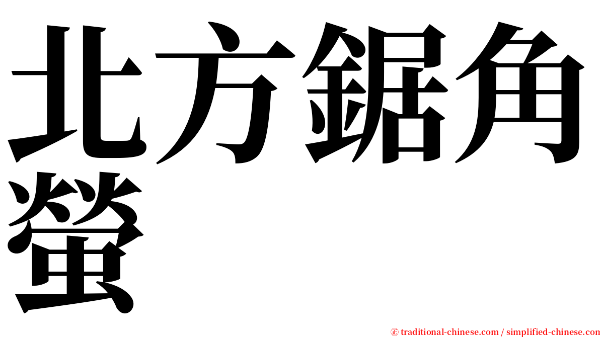 北方鋸角螢 serif font