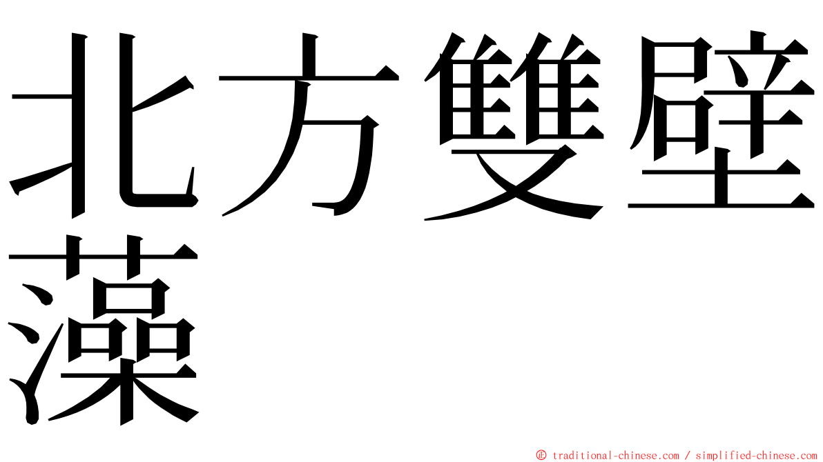 北方雙壁藻 ming font