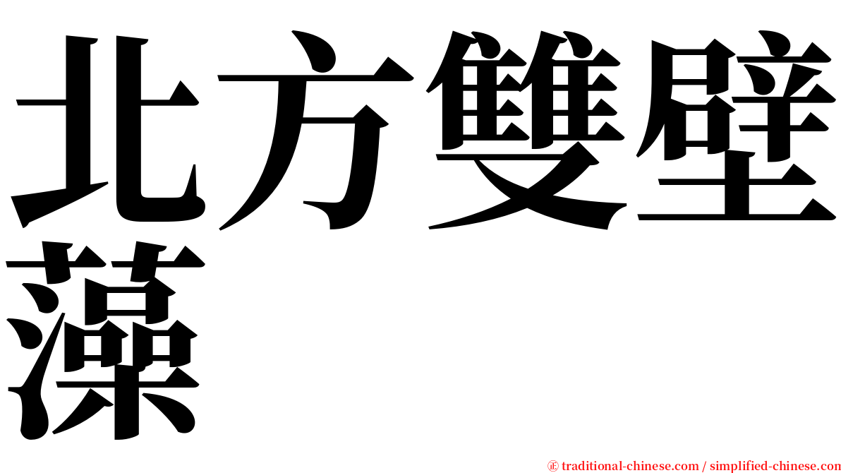 北方雙壁藻 serif font