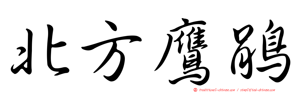 北方鷹鵑