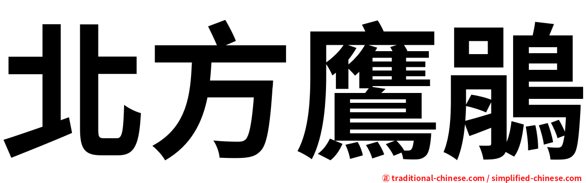 北方鷹鵑
