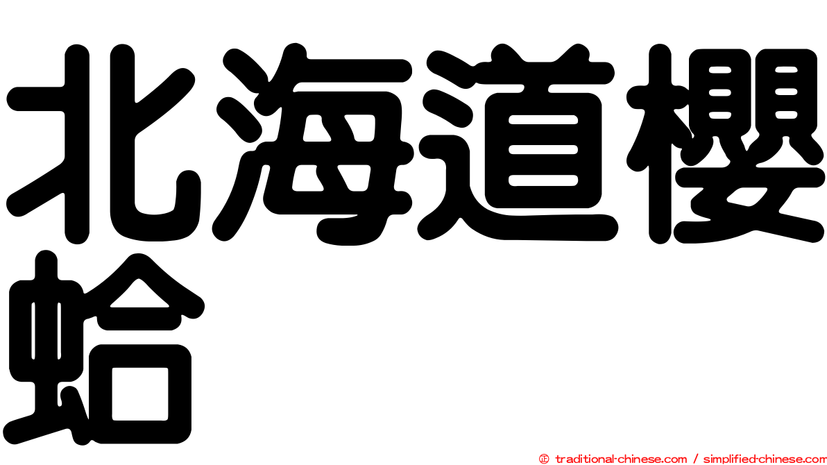 北海道櫻蛤