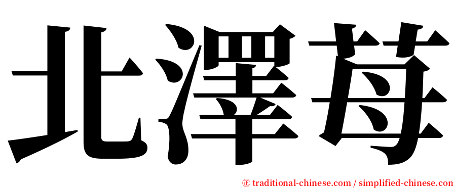 北澤苺 serif font