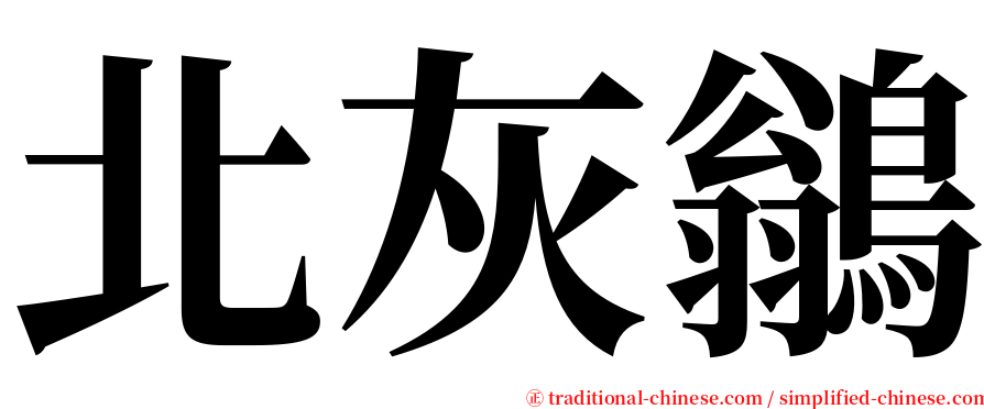 北灰鶲 serif font