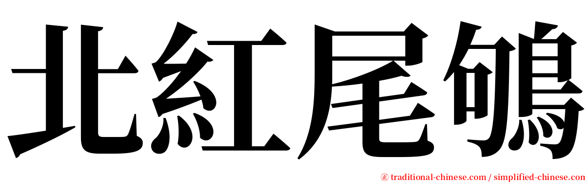 北紅尾鴝 serif font