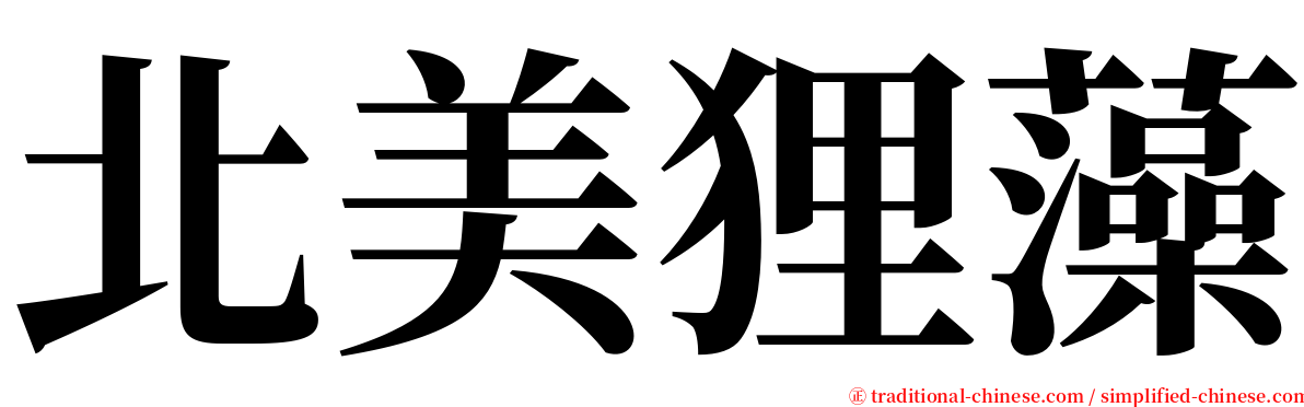 北美狸藻 serif font