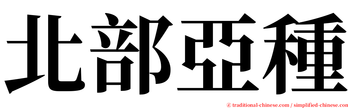 北部亞種 serif font