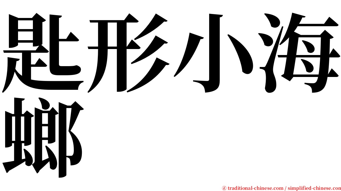 匙形小海螂 serif font