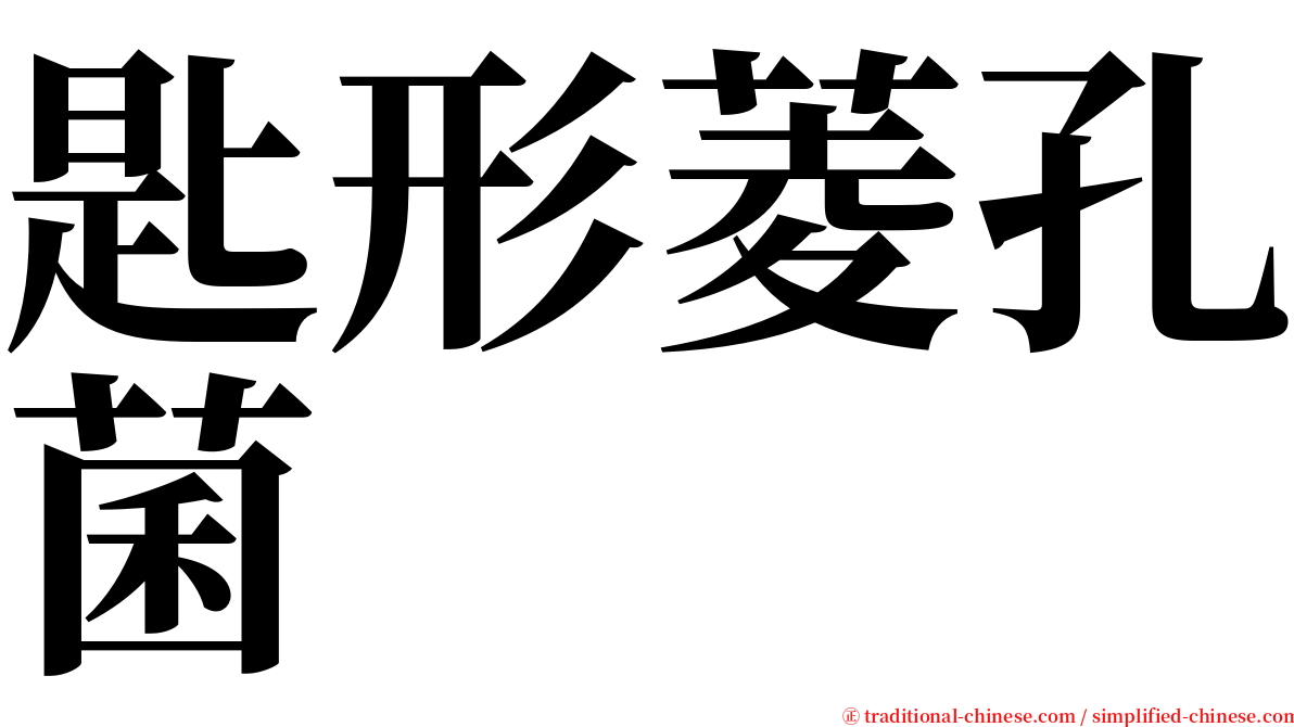 匙形菱孔菌 serif font