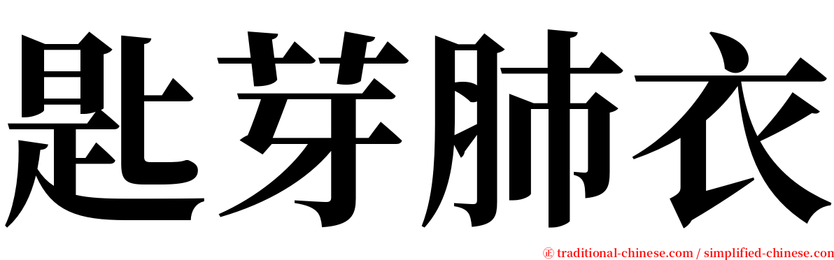 匙芽肺衣 serif font