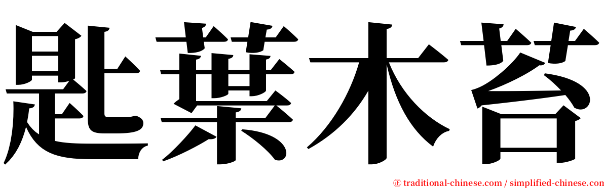 匙葉木苔 serif font