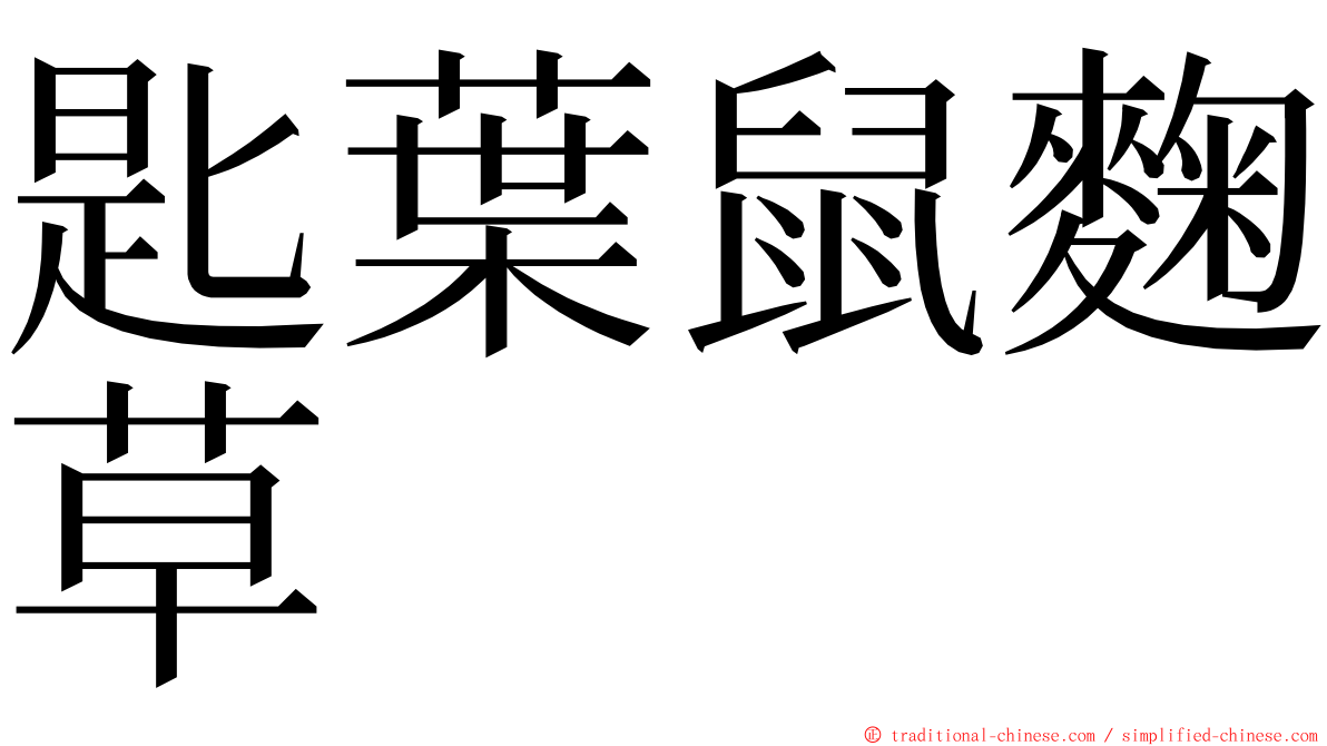 匙葉鼠麴草 ming font