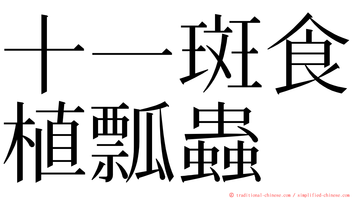 十一斑食植瓢蟲 ming font