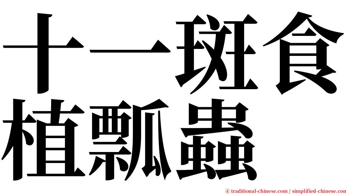 十一斑食植瓢蟲 serif font