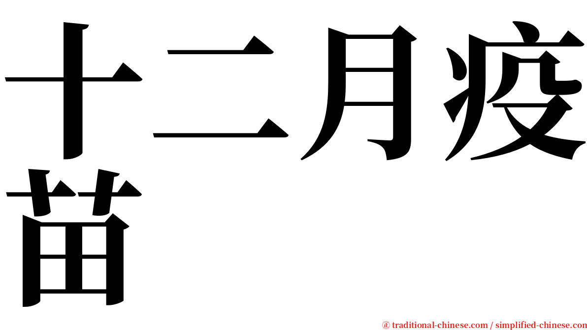 十二月疫苗 serif font