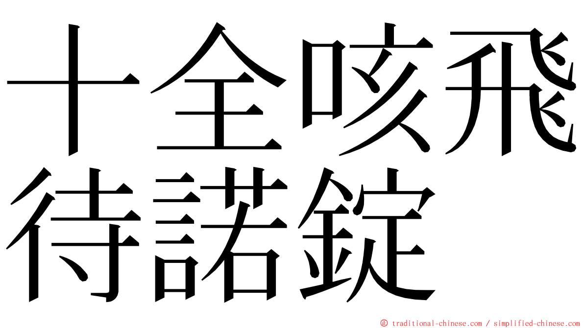 十全咳飛待諾錠 ming font