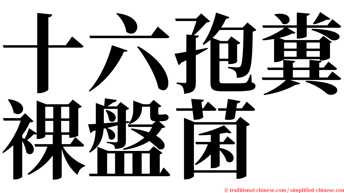 十六孢糞裸盤菌 serif font