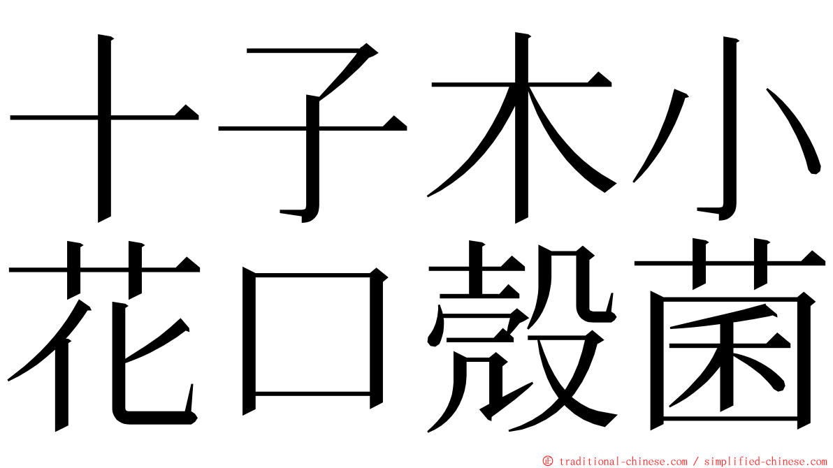 十子木小花口殼菌 ming font