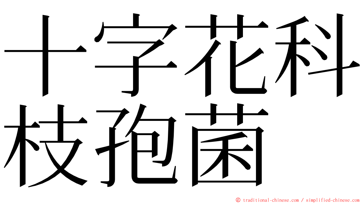 十字花科枝孢菌 ming font