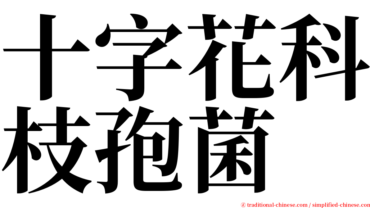 十字花科枝孢菌 serif font