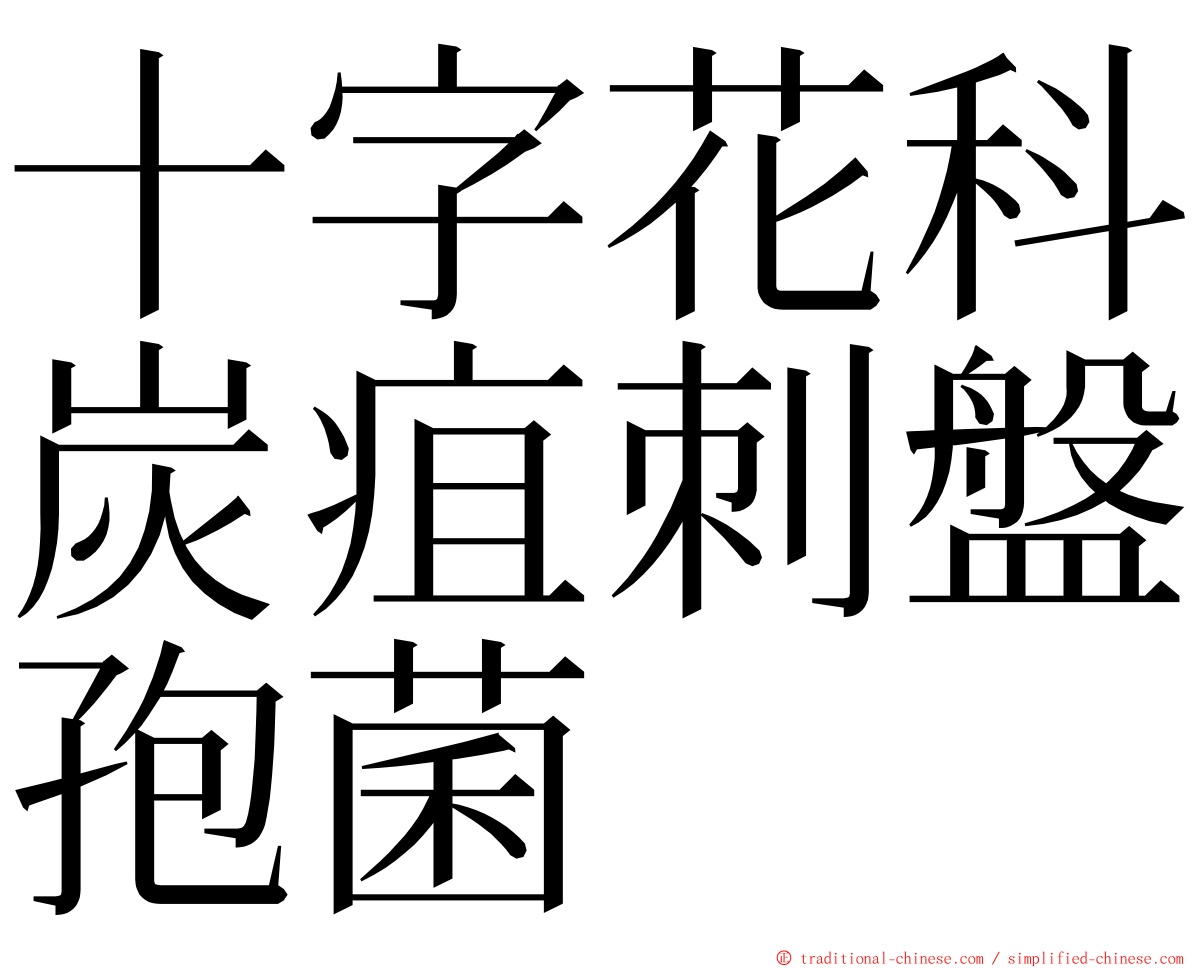 十字花科炭疽刺盤孢菌 ming font