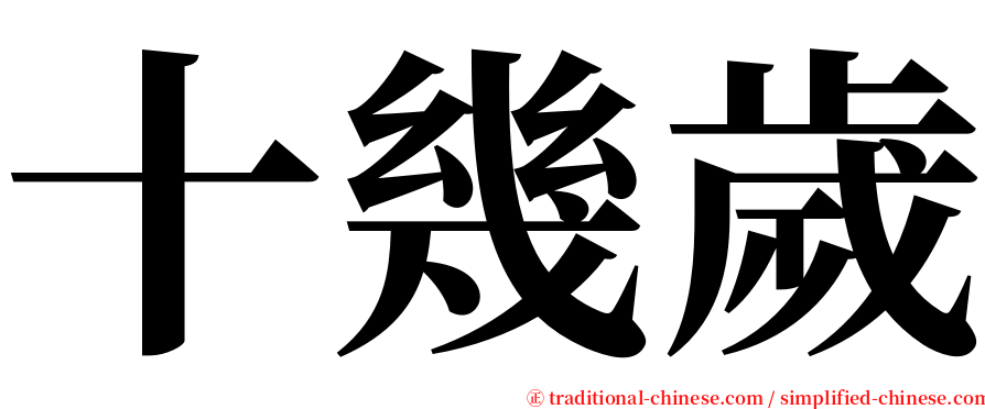 十幾歲 serif font