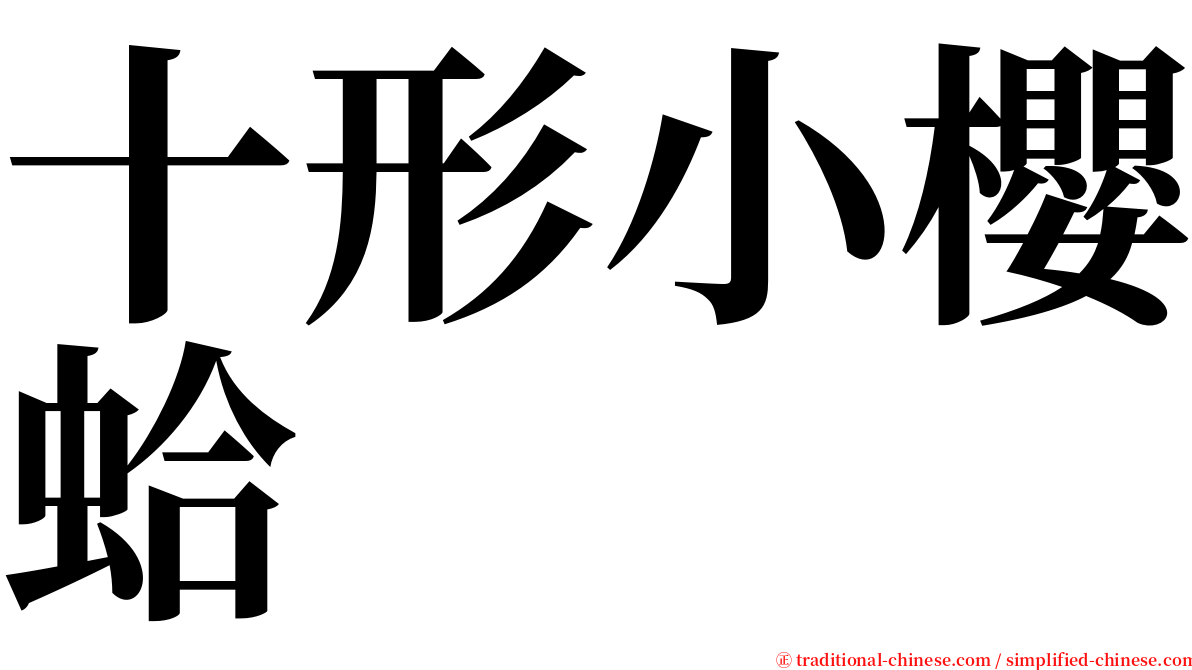 十形小櫻蛤 serif font