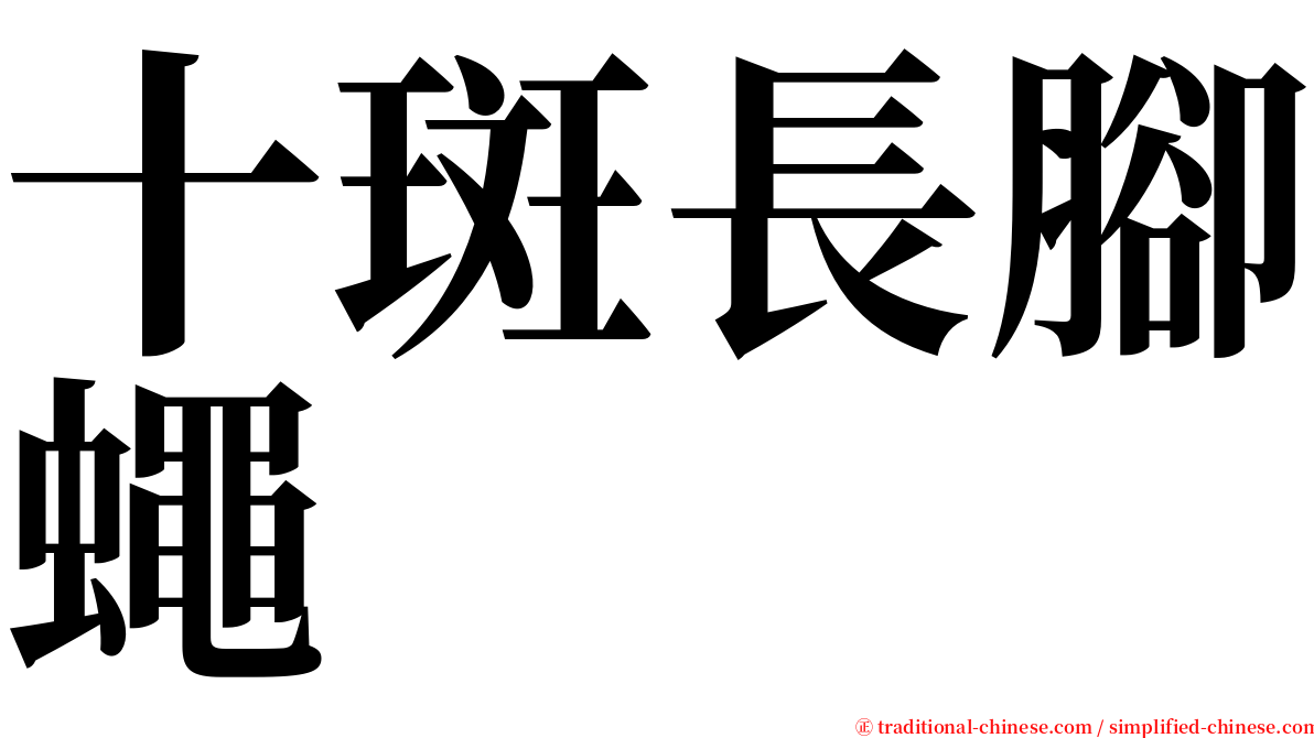 十斑長腳蠅 serif font