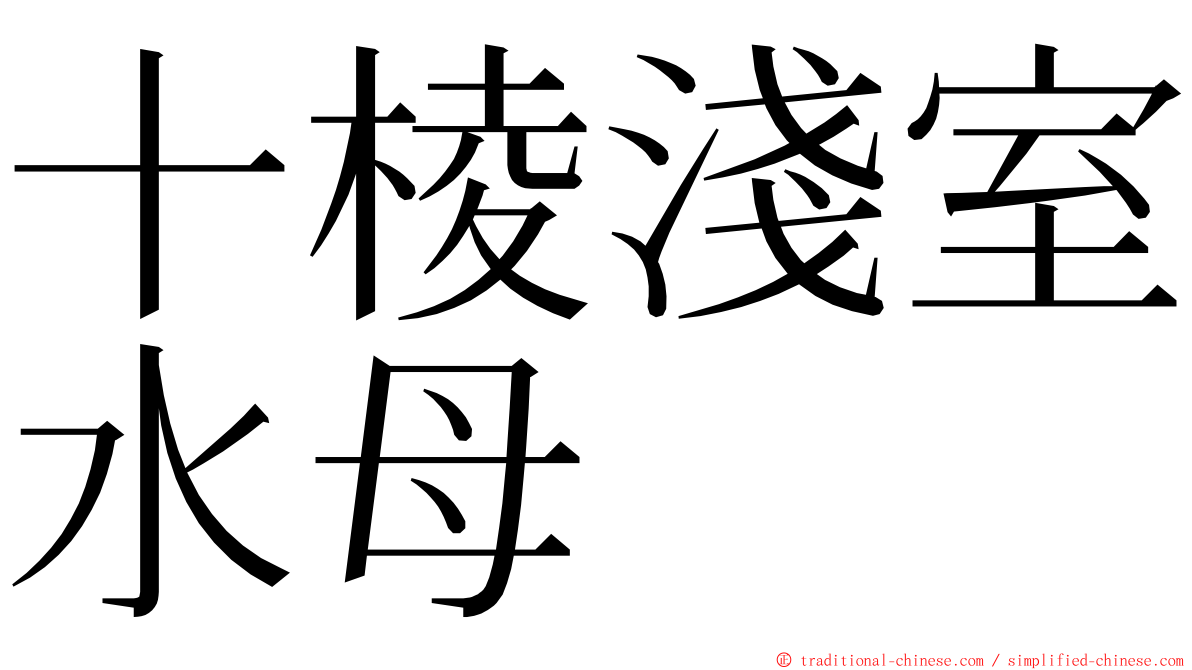 十棱淺室水母 ming font