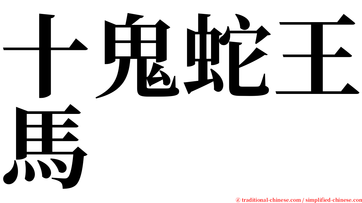 十鬼蛇王馬 serif font