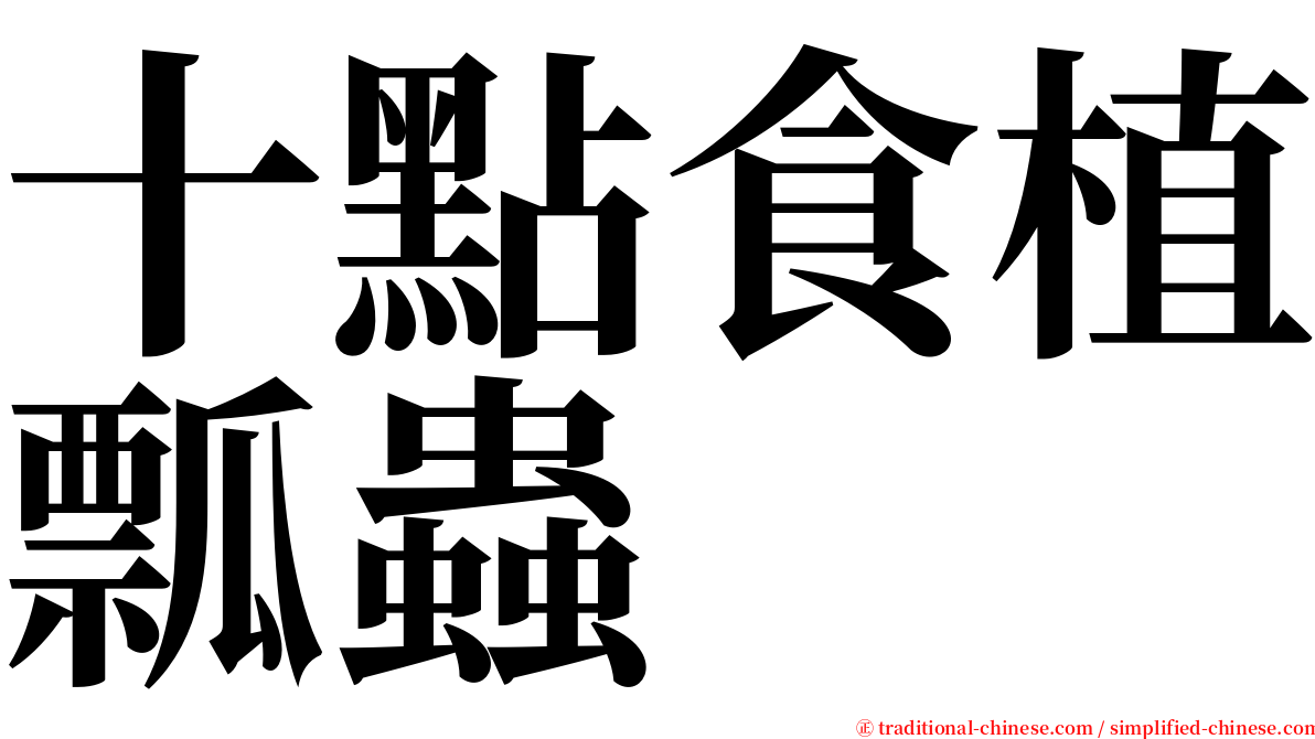 十點食植瓢蟲 serif font