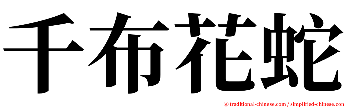 千布花蛇 serif font