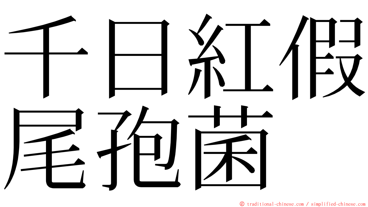 千日紅假尾孢菌 ming font