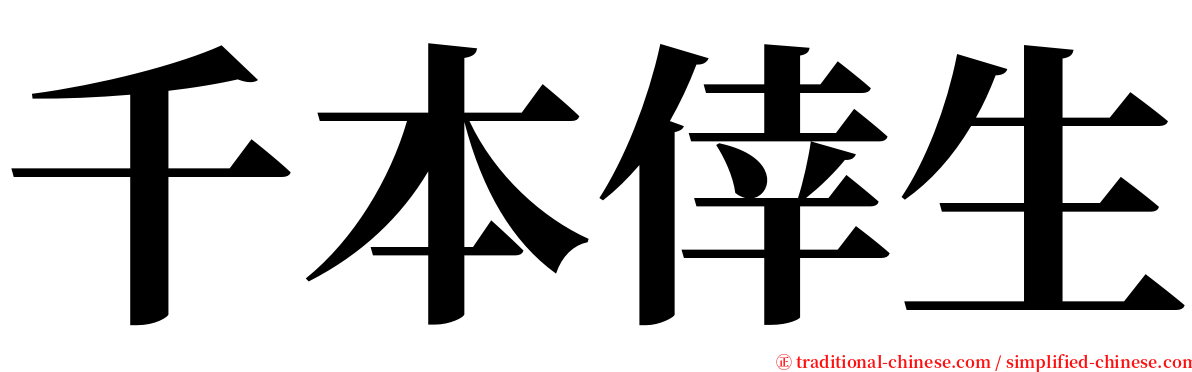 千本倖生 serif font